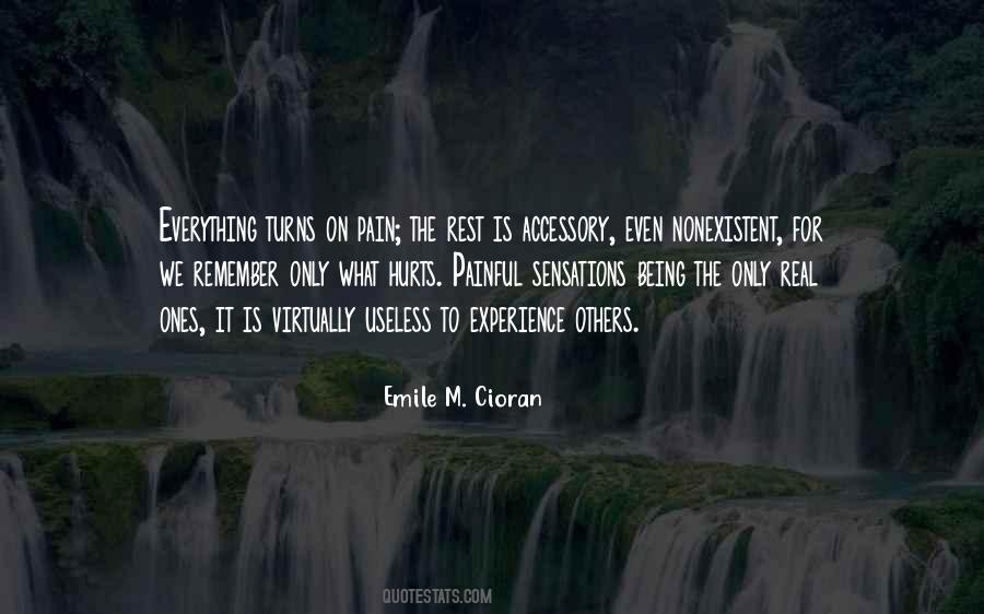 Remember Pain Quotes #290718