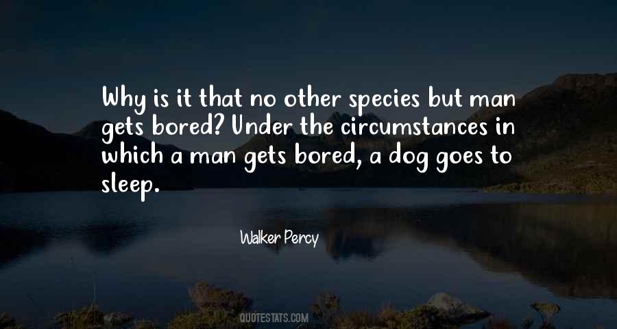Man Dog Quotes #1722658