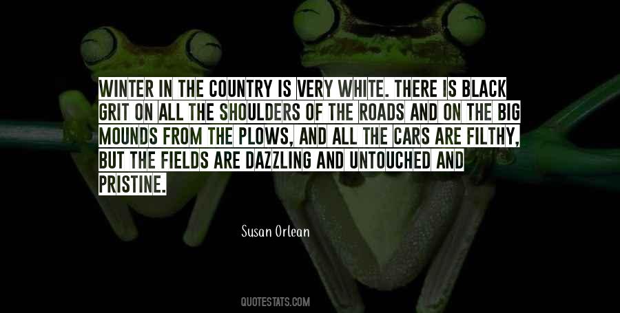 Winter White Quotes #519902