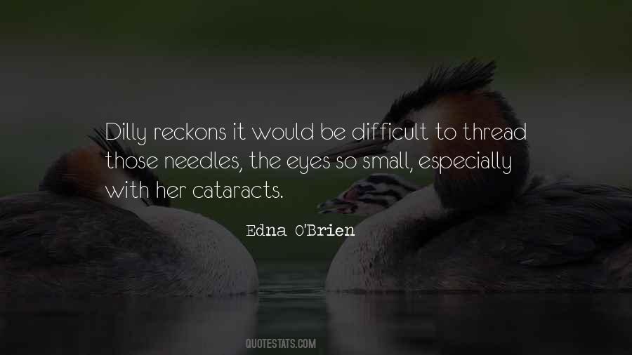 Small Eyes Quotes #1658120