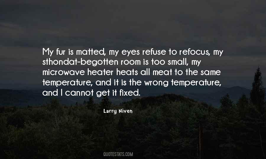 Small Eyes Quotes #261914