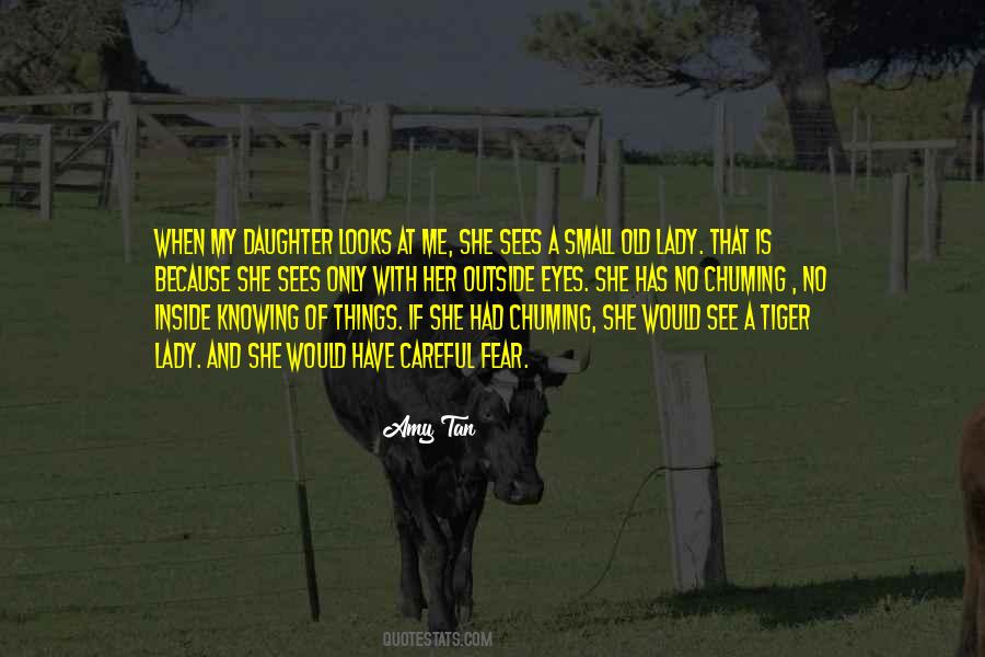Small Eyes Quotes #592939
