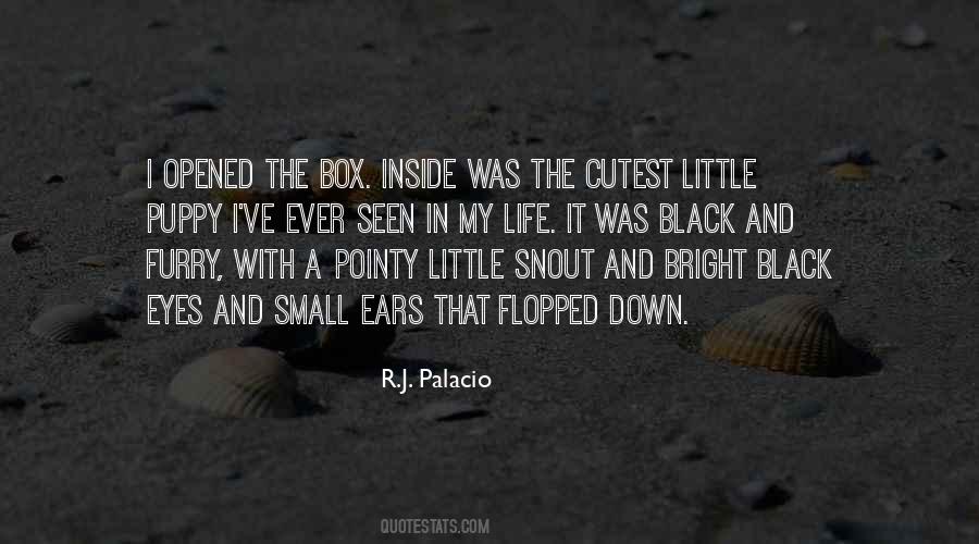 Small Eyes Quotes #726222