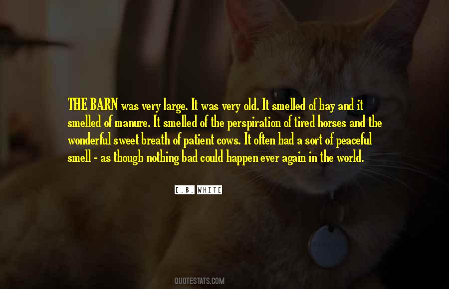 Tired Of The World Quotes #1743401