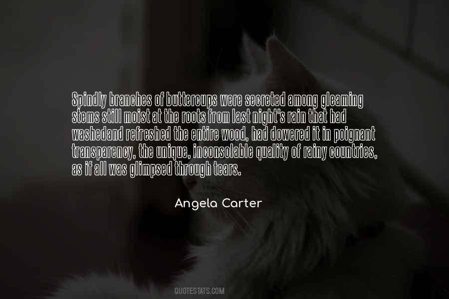 Tears At Night Quotes #1776173