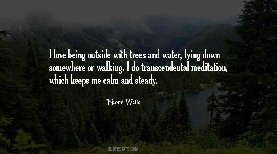 Water Meditation Quotes #918543