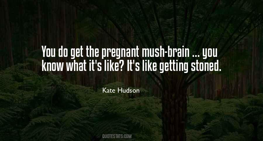 Pregnancy Brain Quotes #590842
