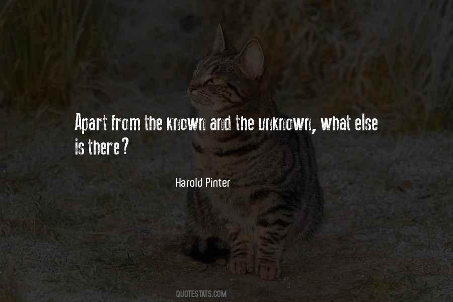 Quotes About The Known And Unknown #1642119