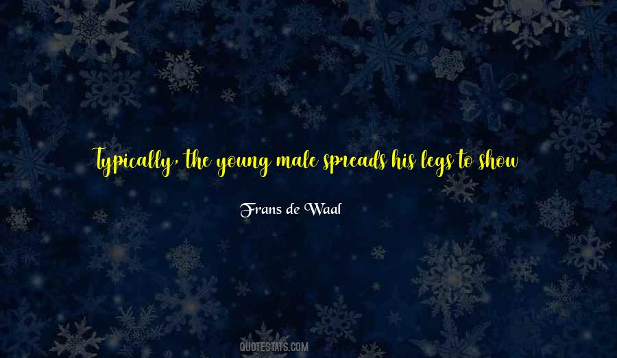 Having An Affair With A Married Man Quotes #425775