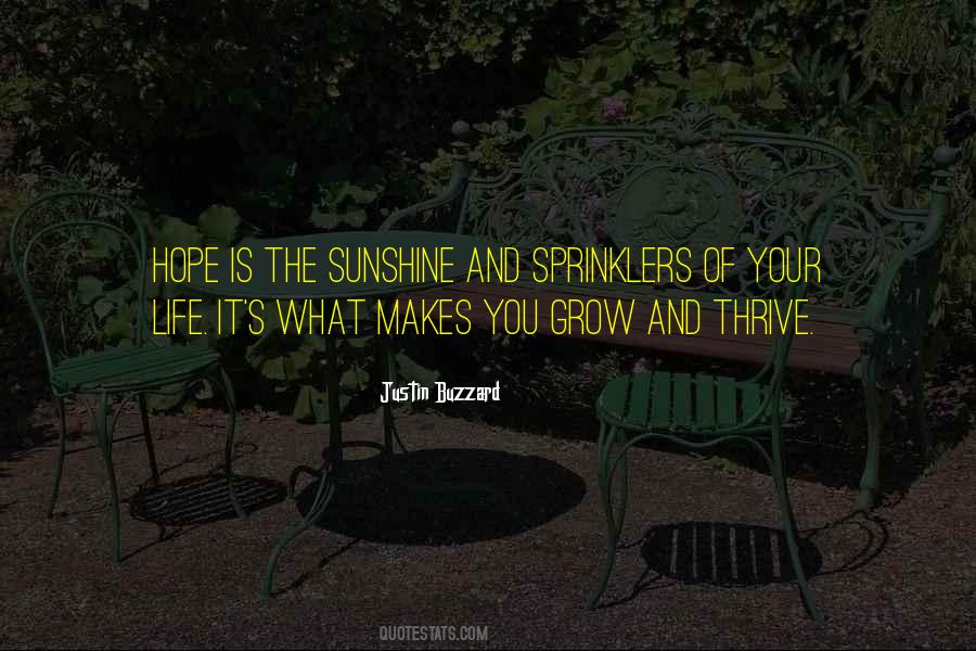 Life Sunshine Quotes #708936