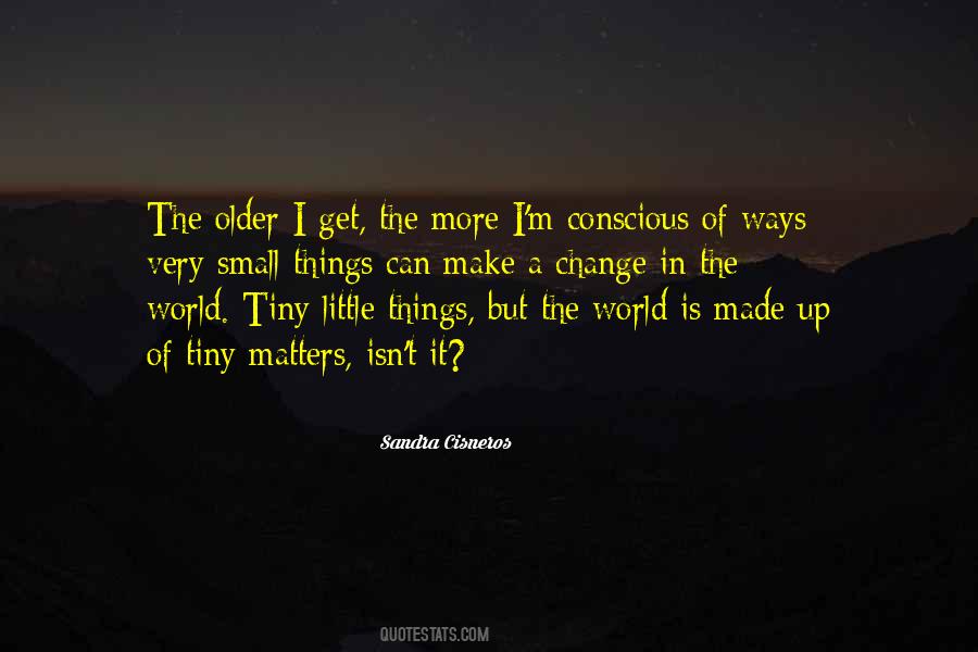 It Is The Little Things Quotes #1264467