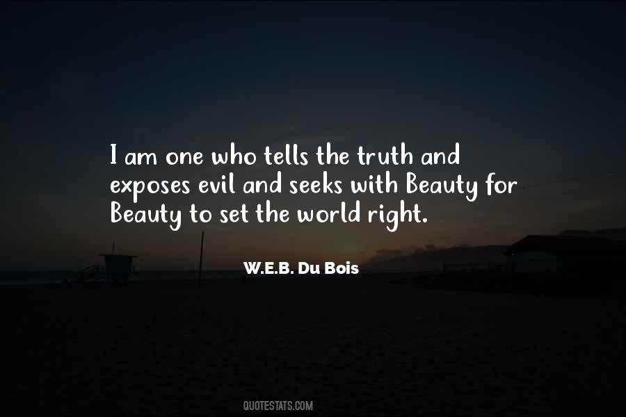 I Am Evil Quotes #1778816