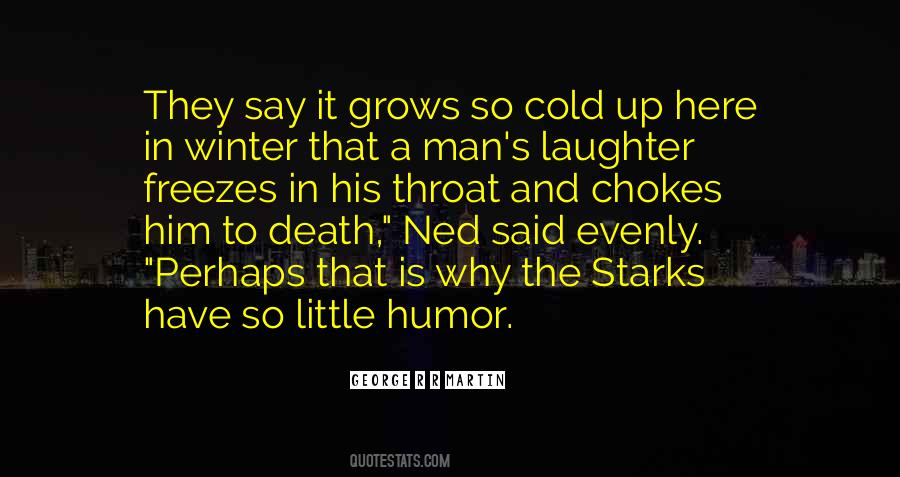 A Little Laughter Quotes #487399