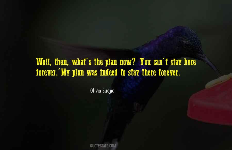 Plan Now Quotes #647968