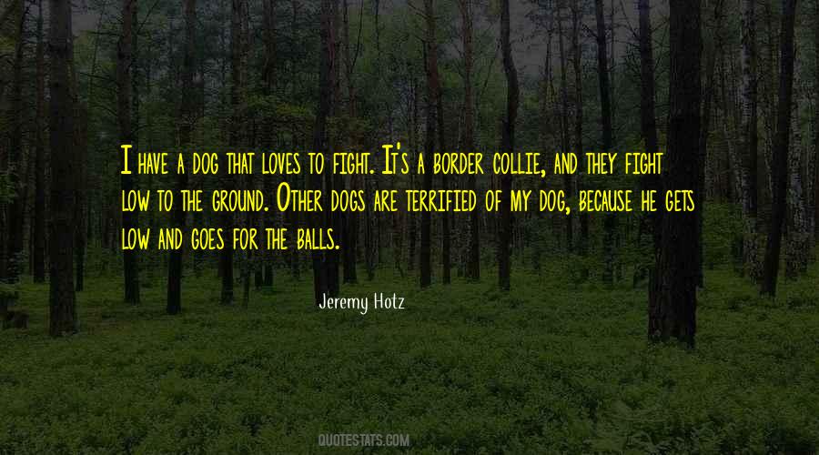 Fighting Dogs Quotes #1461948