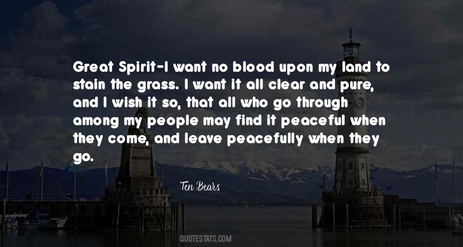 Peaceful Spirit Quotes #941694