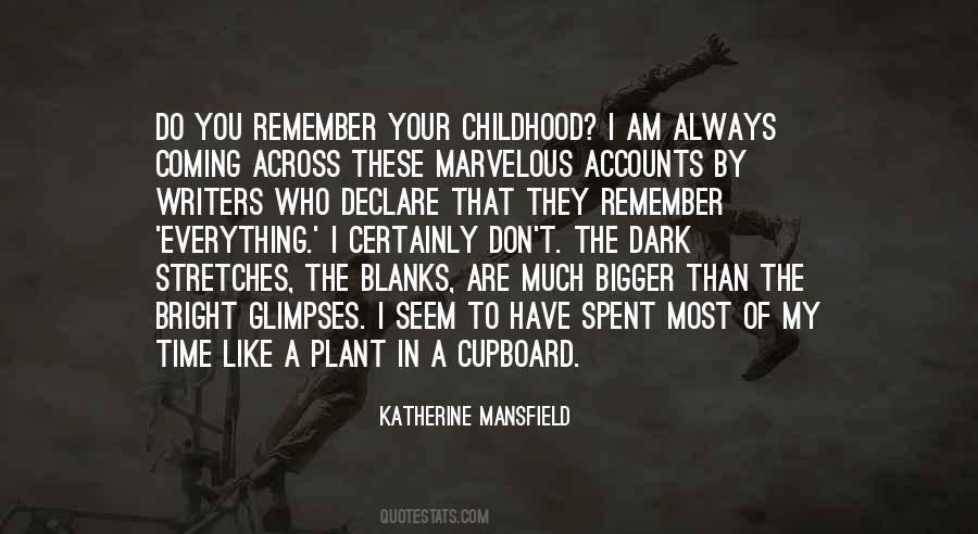 Remember Who I Am Quotes #1851635
