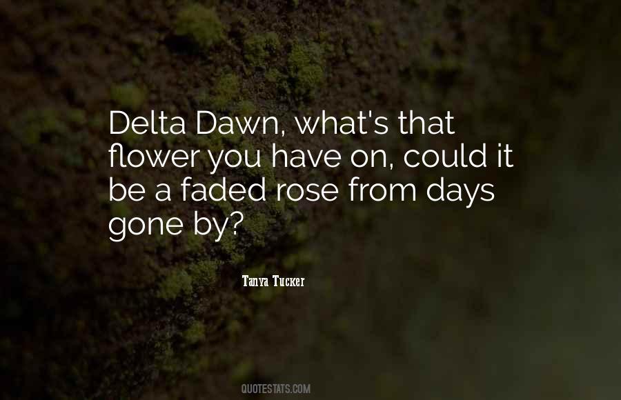 Faded Rose Quotes #1177419