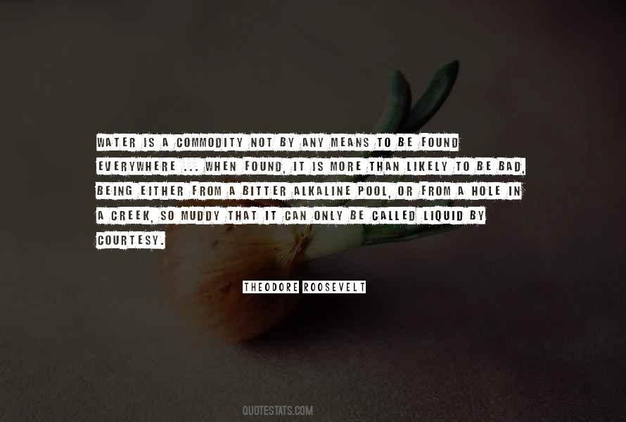 Quotes About Being Everywhere #695379