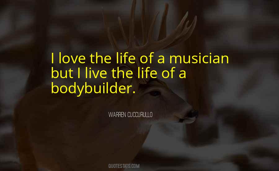 Musician Life Quotes #1018765