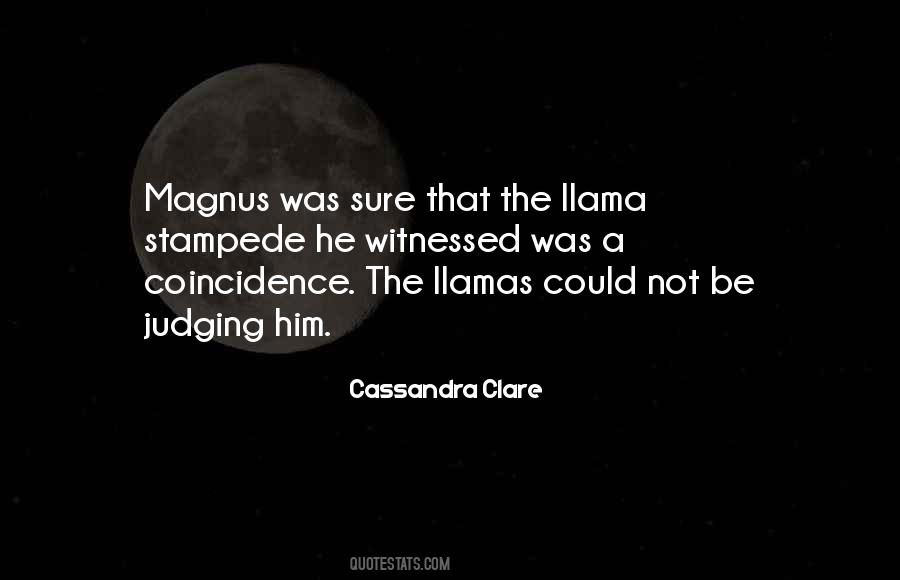 Not A Coincidence Quotes #117442