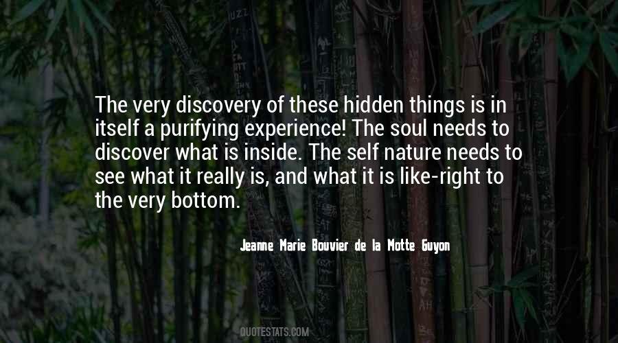 Hidden Soul Quotes #468184