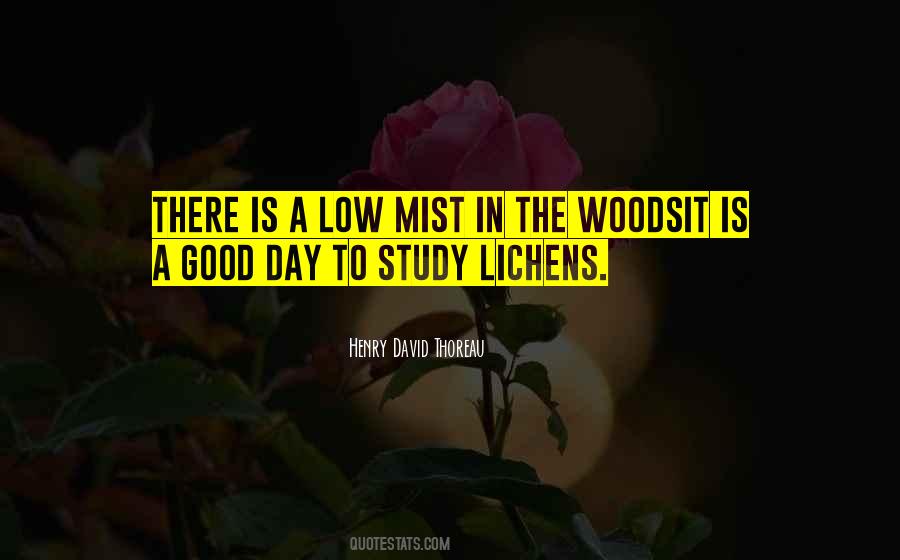 Not Out Of The Woods Yet Quotes #27397