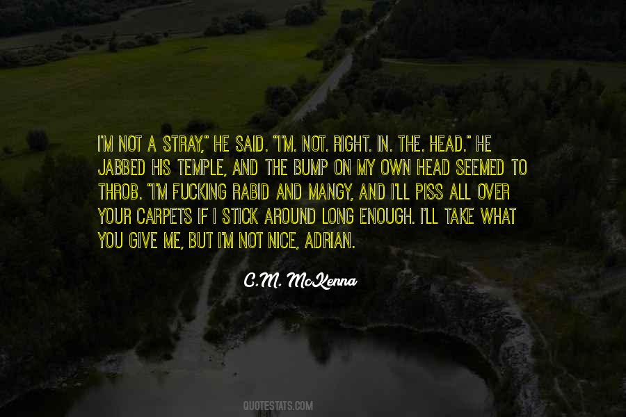 Not Right In The Head Quotes #377417