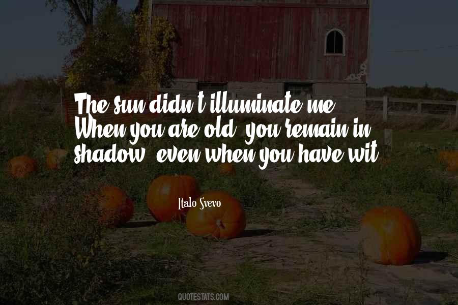 When You Are Old Quotes #1573008