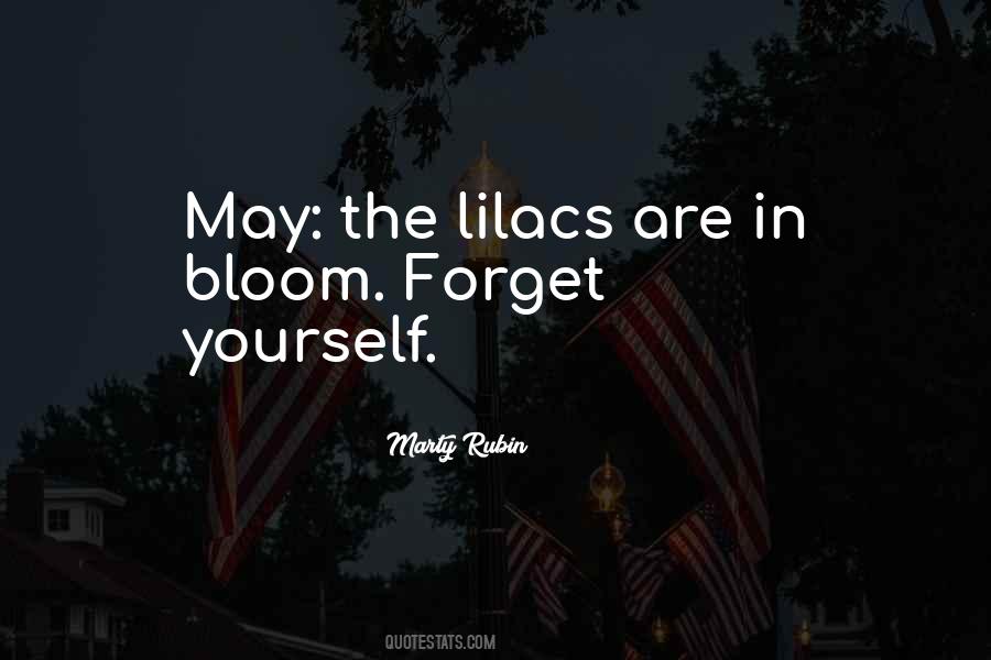 Quotes About Self Forget #608237