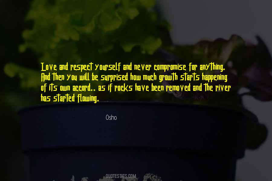 Have Respect For Yourself Quotes #1557970