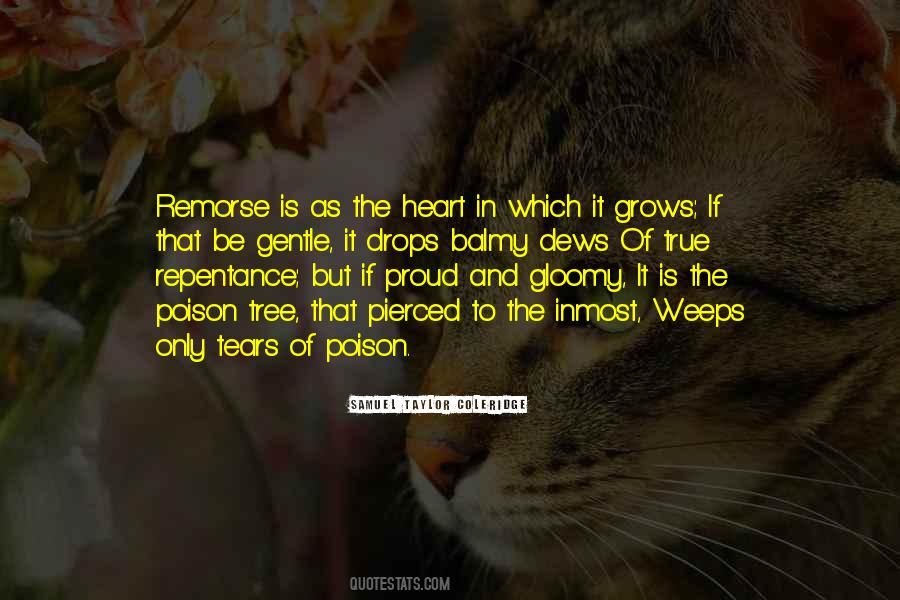 True Remorse Quotes #1284645