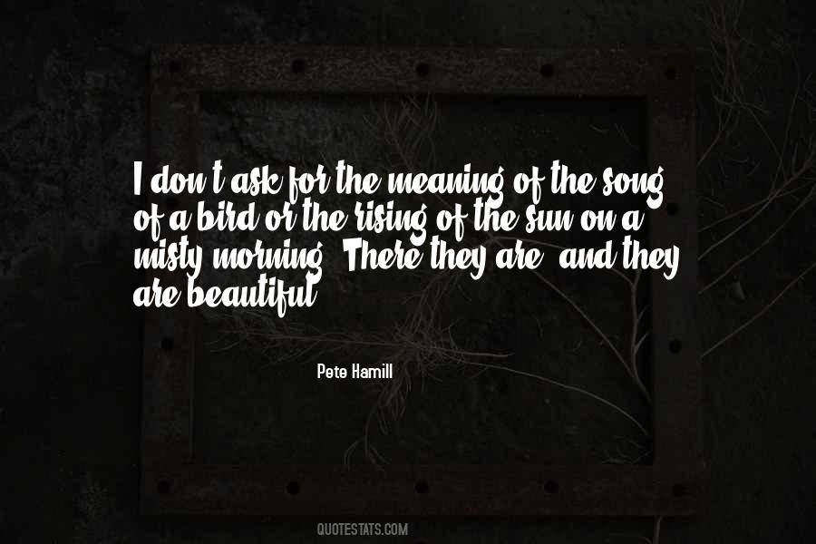 Quotes About Nature And Meaning #1366810