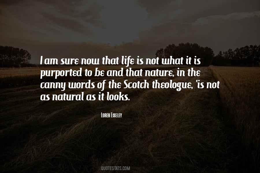 Quotes About Nature And Meaning #475548