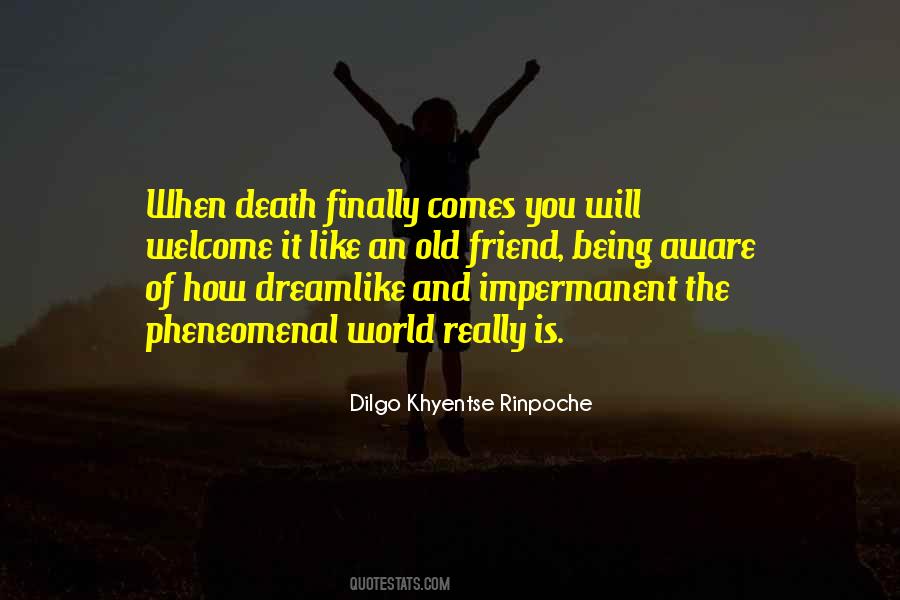 Quotes About The Death Of An Old Friend #1613411