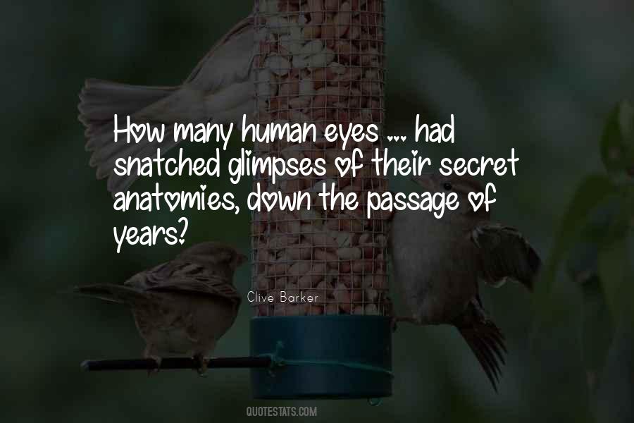 Secret Eyes Quotes #1039158