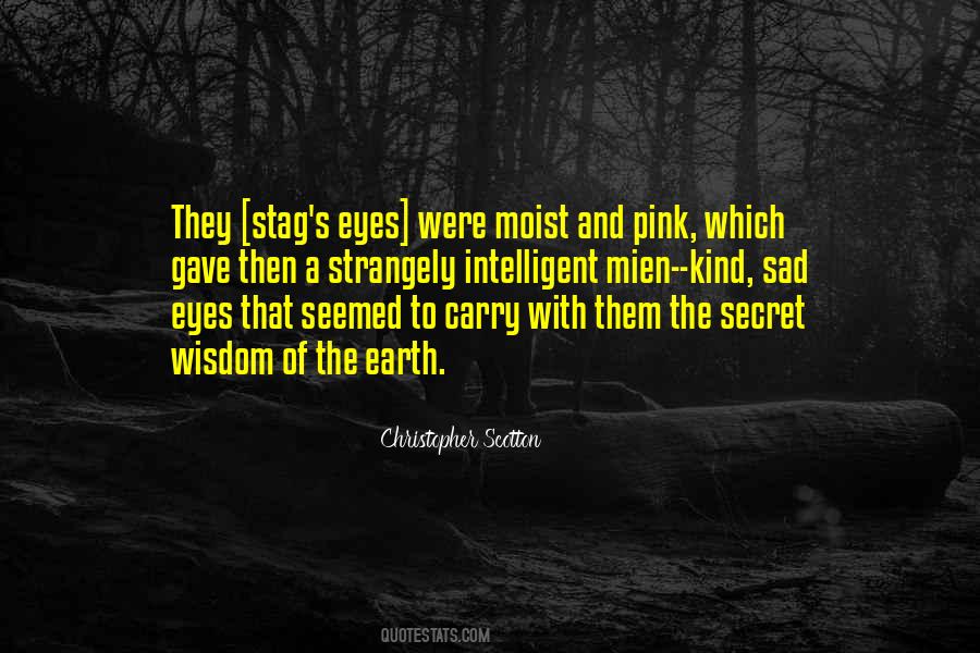 Secret Eyes Quotes #1558443
