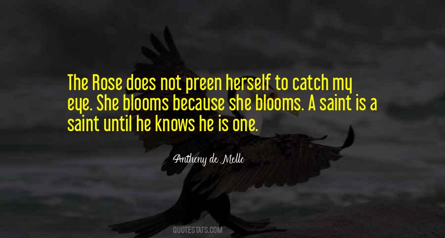 Catch Your Eye Quotes #243960