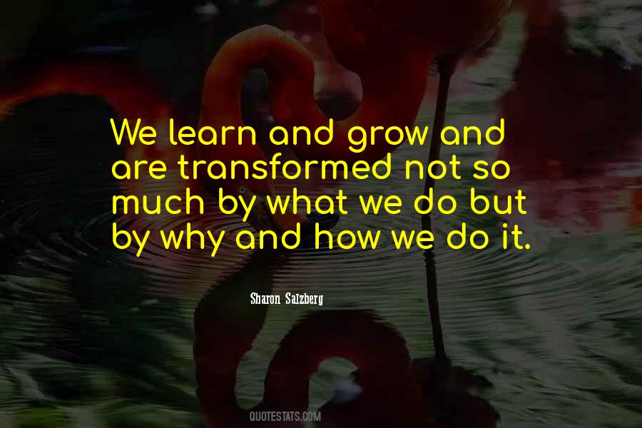Why And How Quotes #1436100