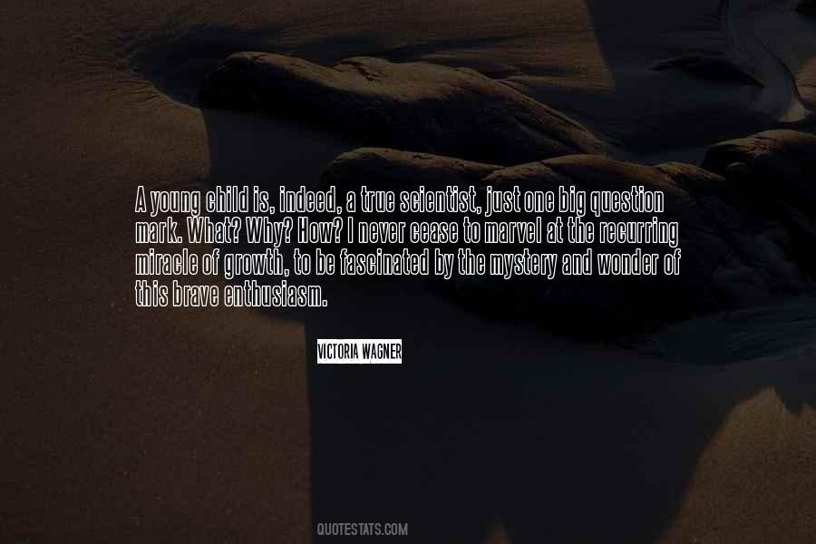 Why And How Quotes #270091