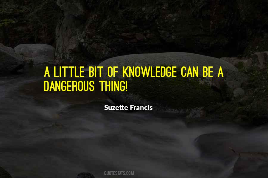 If A Little Knowledge Is Dangerous Quotes #758726
