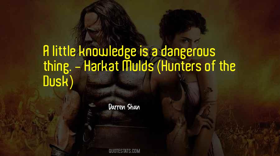 If A Little Knowledge Is Dangerous Quotes #89610