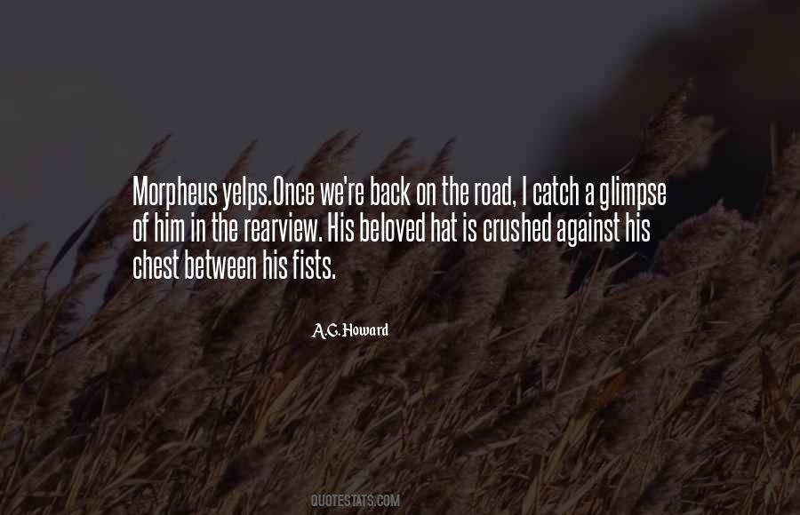 Catch A Glimpse Quotes #1602800