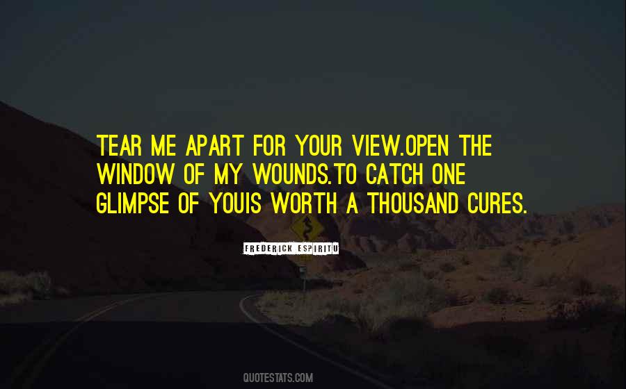 Catch A Glimpse Quotes #306349