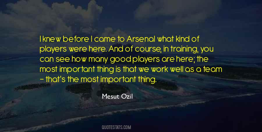 We Are A Good Team Quotes #1513016