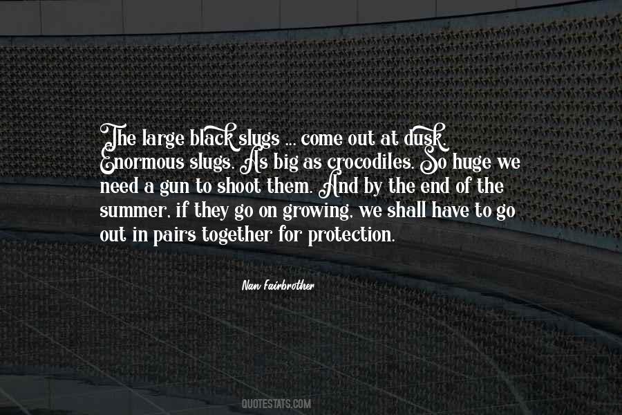 Gun Protection Quotes #1384033