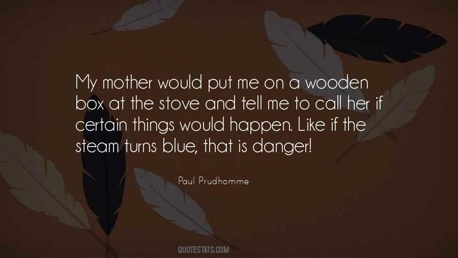Me And My Mother Quotes #622174