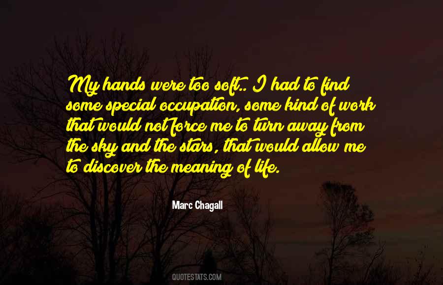 Meaning Of My Life Quotes #1151913