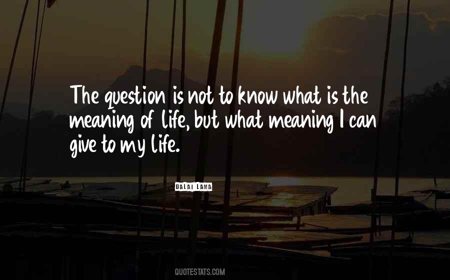 Meaning Of My Life Quotes #151924