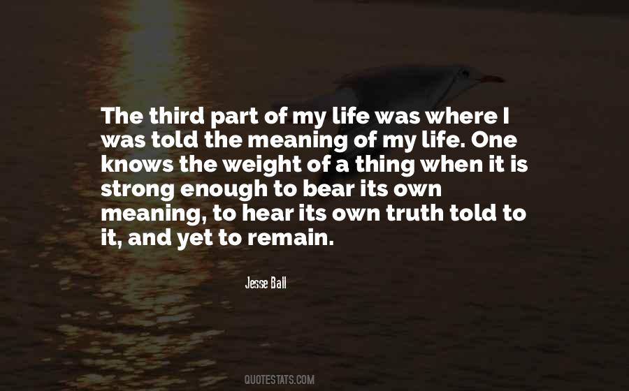 Meaning Of My Life Quotes #1601724